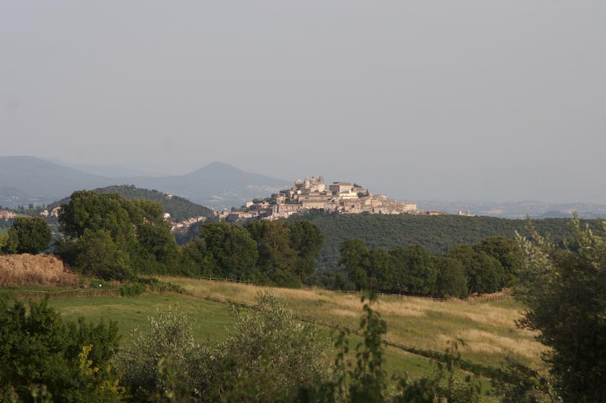 Agriturismo Collepina 阿米里亚 外观 照片