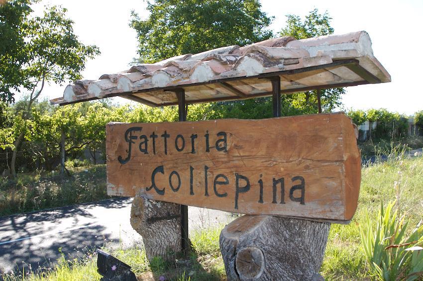Agriturismo Collepina 阿米里亚 外观 照片
