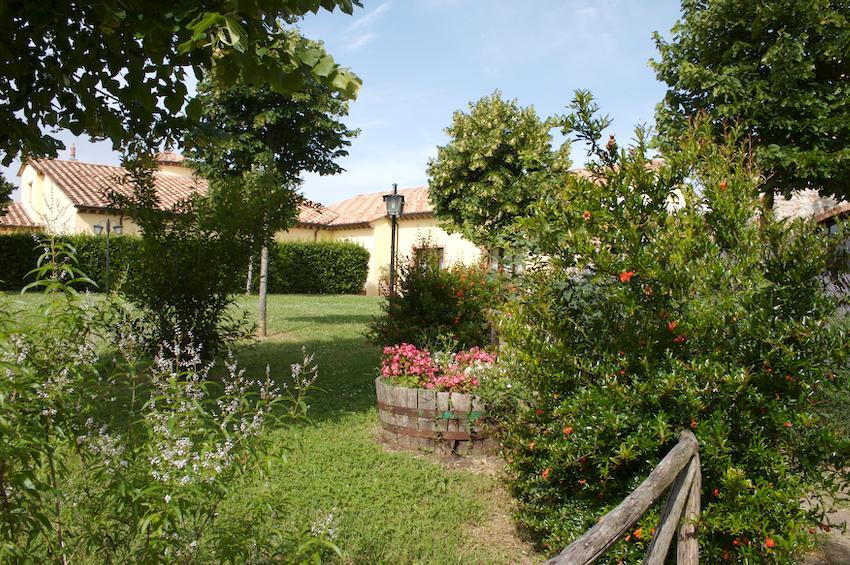 Agriturismo Collepina 阿米里亚 外观 照片