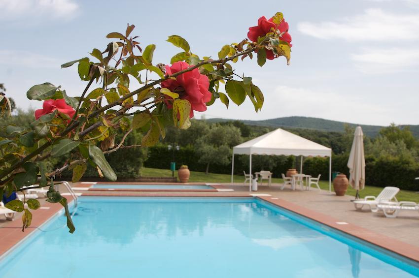 Agriturismo Collepina 阿米里亚 外观 照片
