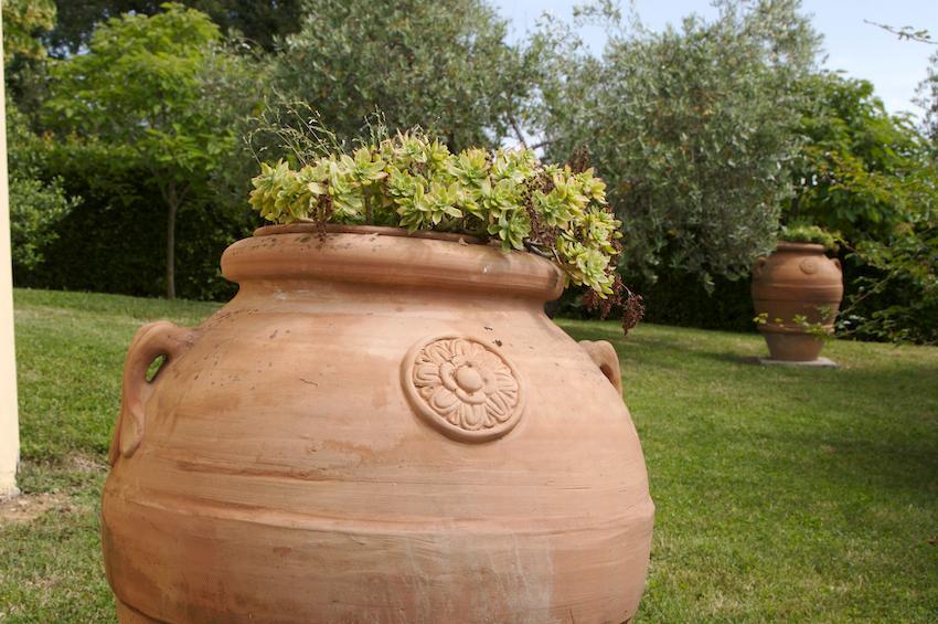 Agriturismo Collepina 阿米里亚 外观 照片