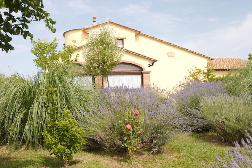 Agriturismo Collepina 阿米里亚 外观 照片