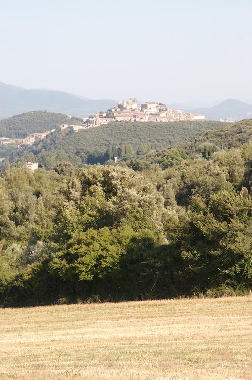 Agriturismo Collepina 阿米里亚 外观 照片