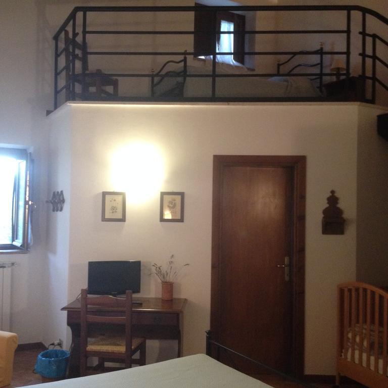 Agriturismo Collepina 阿米里亚 外观 照片